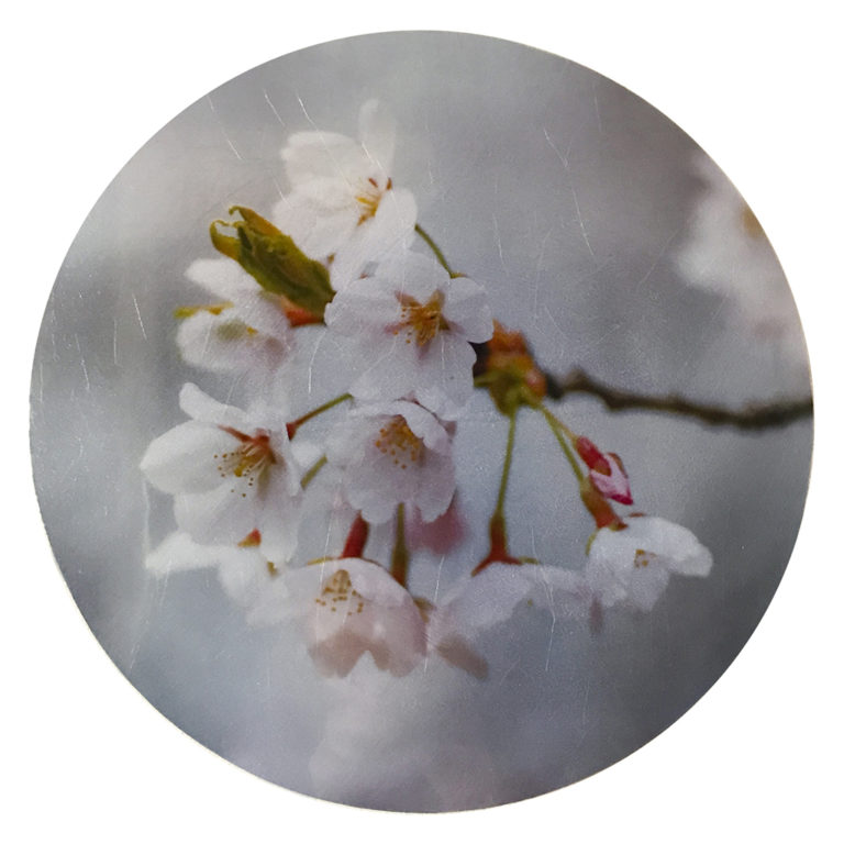 Photography & Digital Media