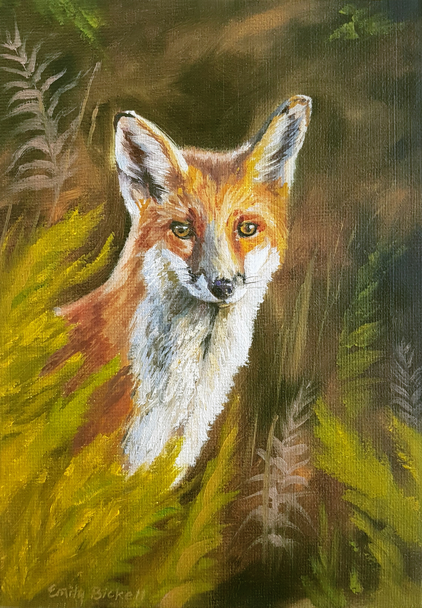 Vixen