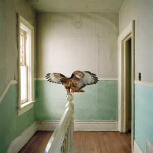 Photography &amp; Digital Media