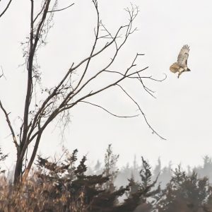 Photography &amp; Digital Media