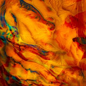 Photography & Digital Media