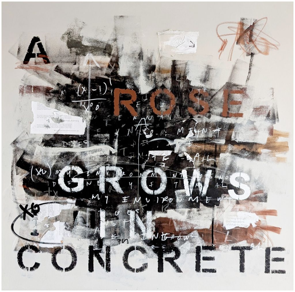 A Rose Grows