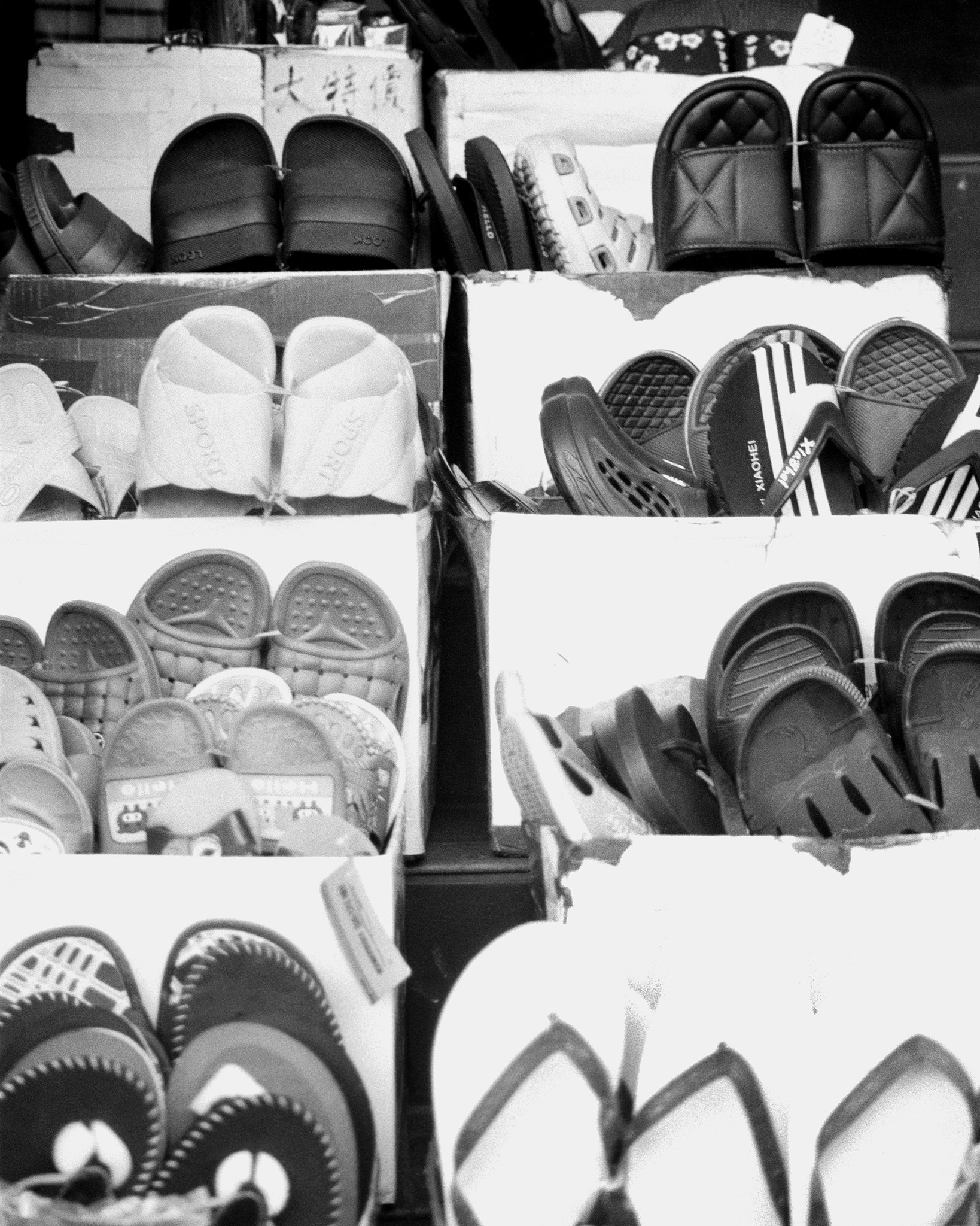 Slides, Toronto