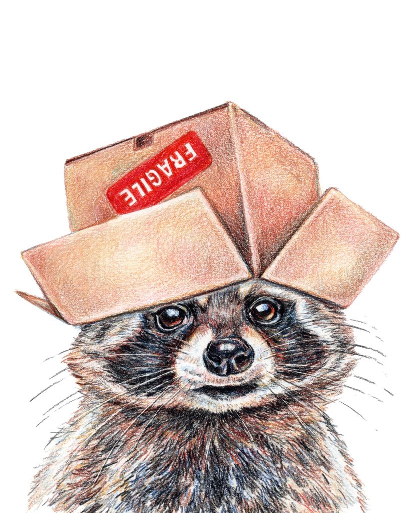 Thinking Inside the Box No.2