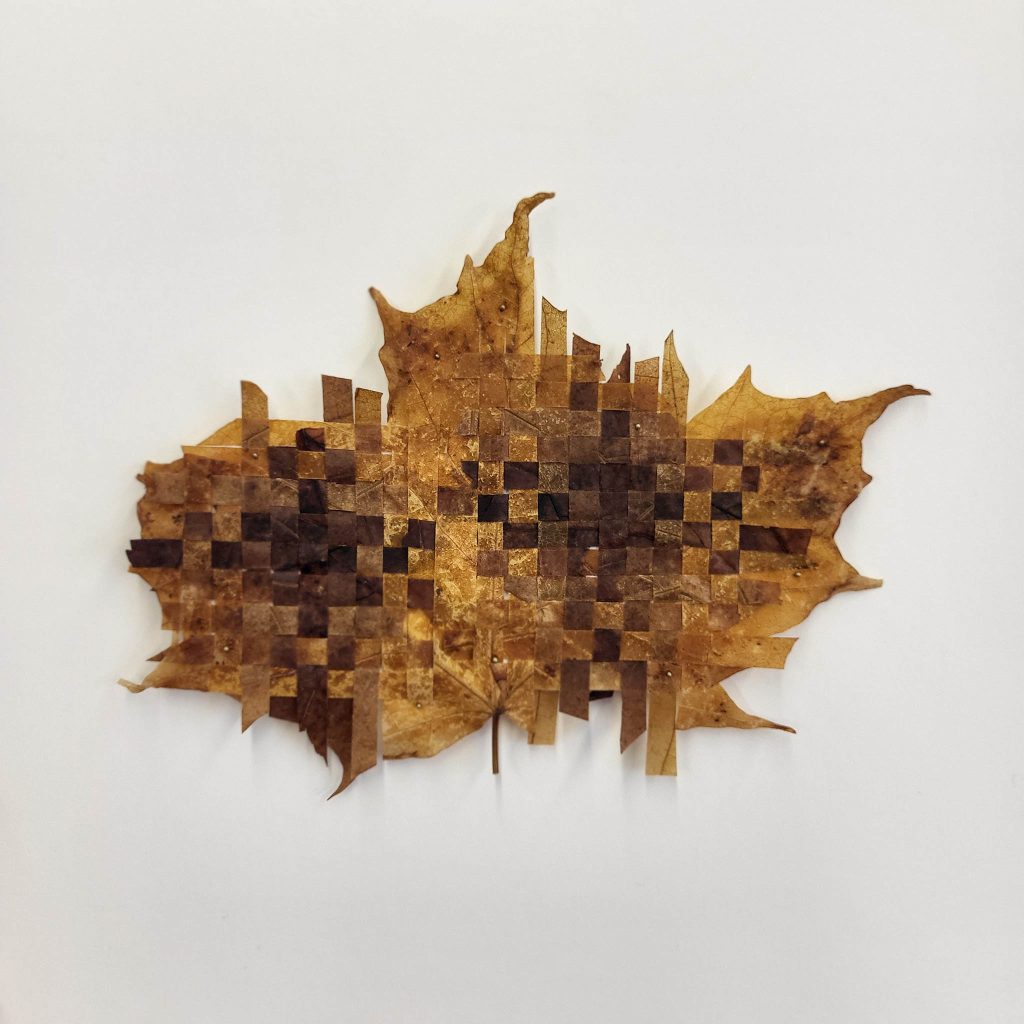 Cellular #2