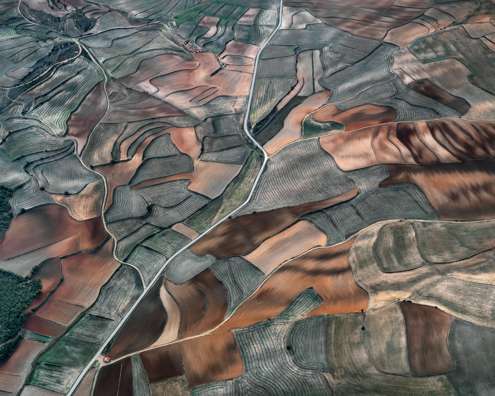 Fallow Fields (Parceled Lands, Fall)
