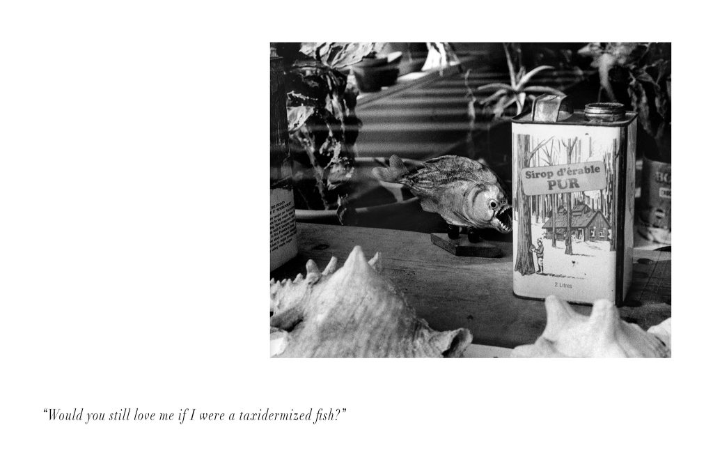 Would You Still Love Me If I Were A Taxidermized Fish?