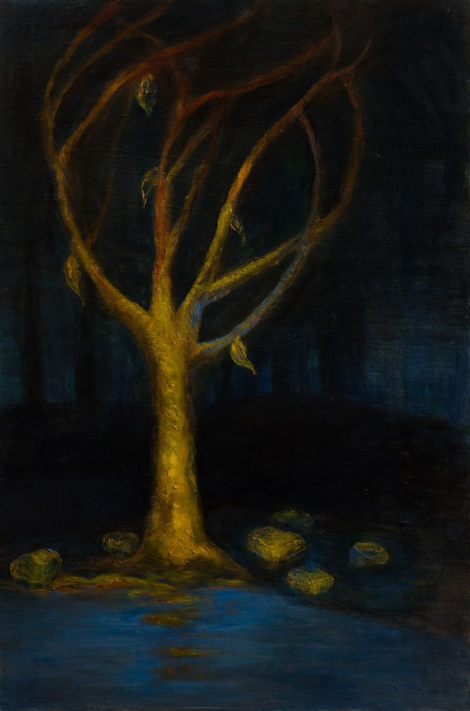 Stillness in the dark woods
