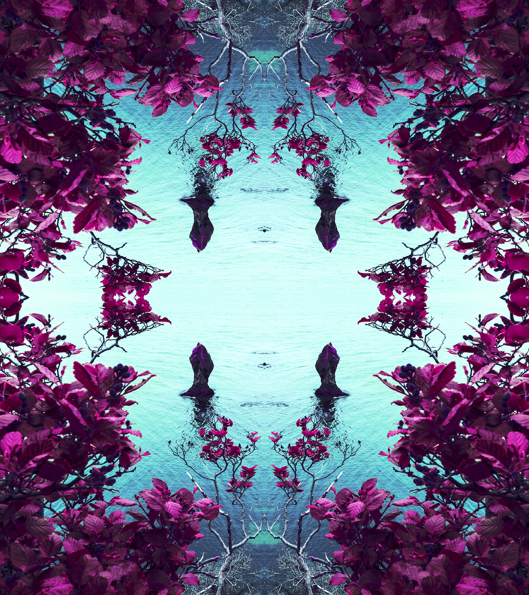 Photography & Digital Media