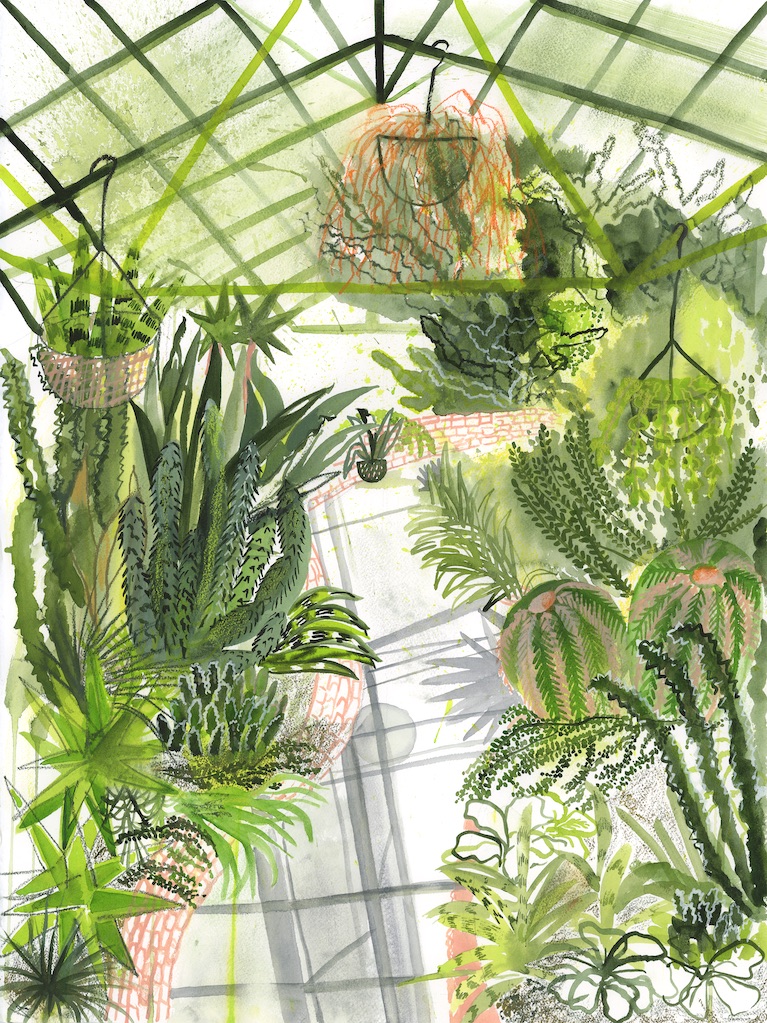 Succulent Secrets of the Glasshouse, inspired by Allan Gardens