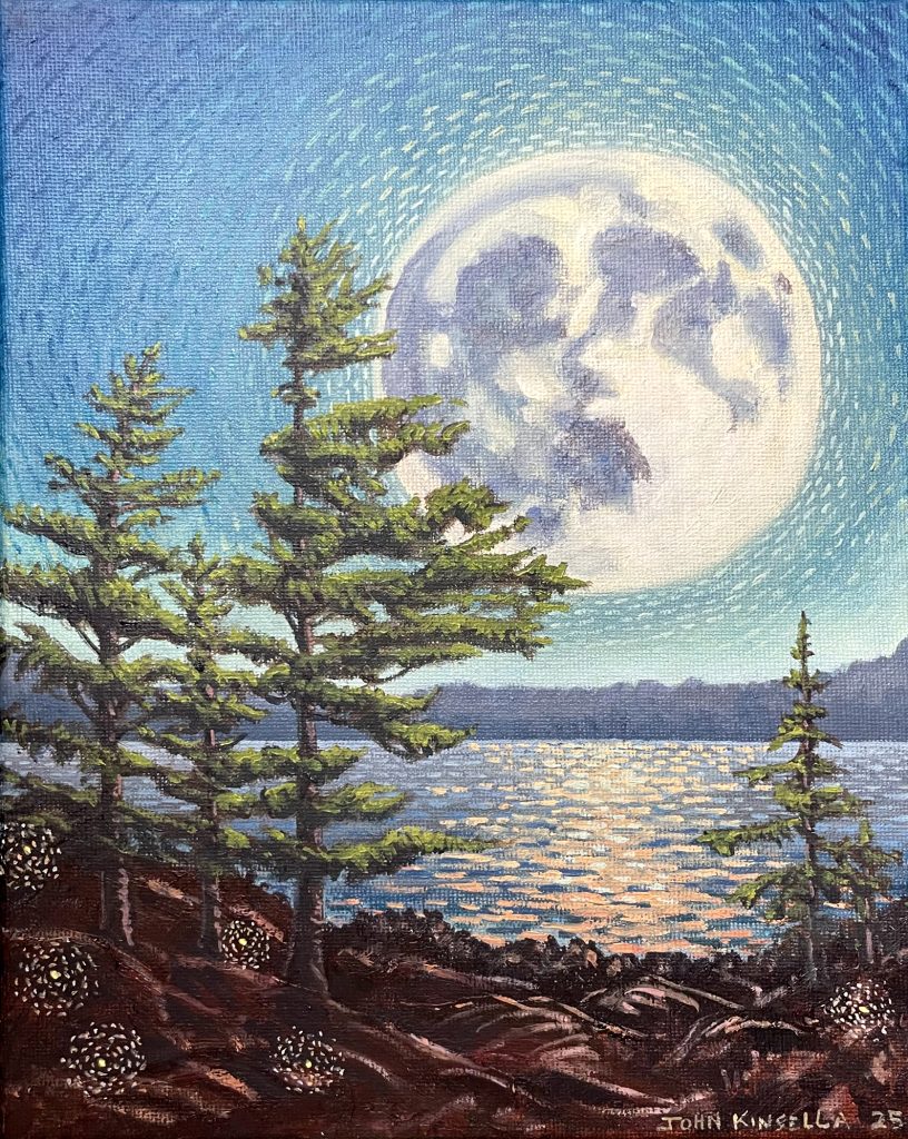 Serenity, Fireflies and Moonlight IV