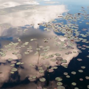 Photography &amp; Digital Media