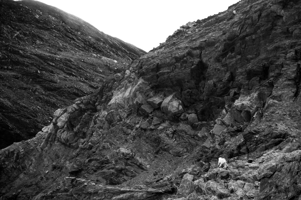 Rockey Hike