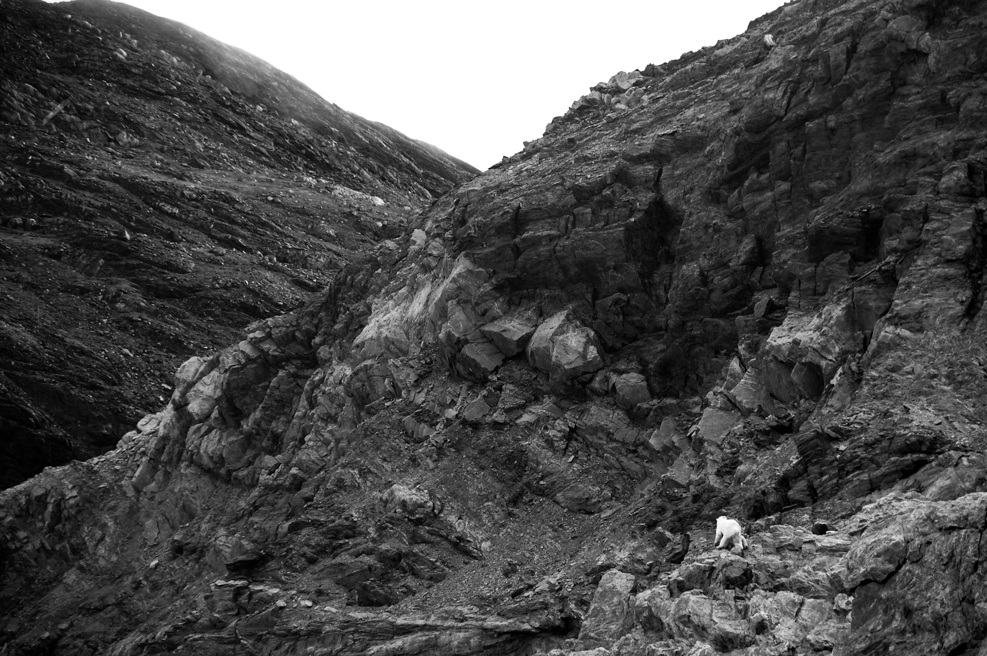 Rockey Hike
