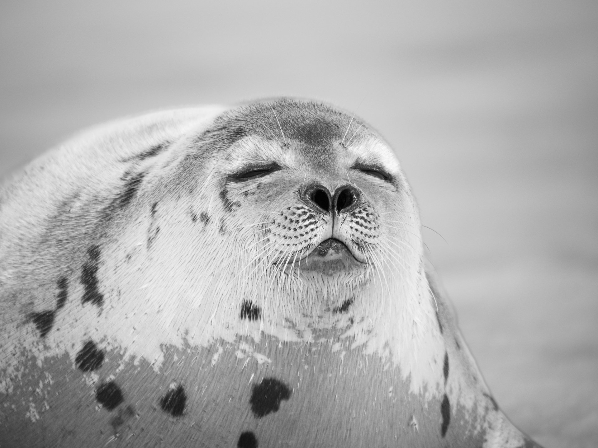 Bathing in the sun