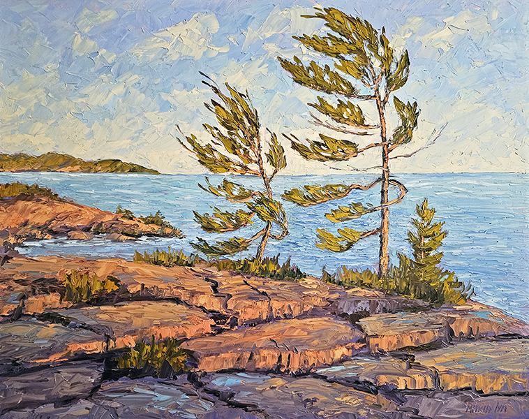 Georgian Bay Afternoon