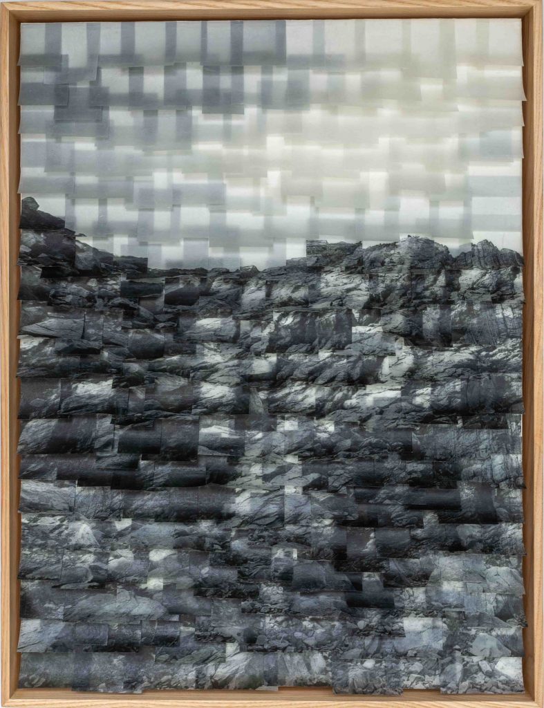 Serpintine Stripes #1 NEW