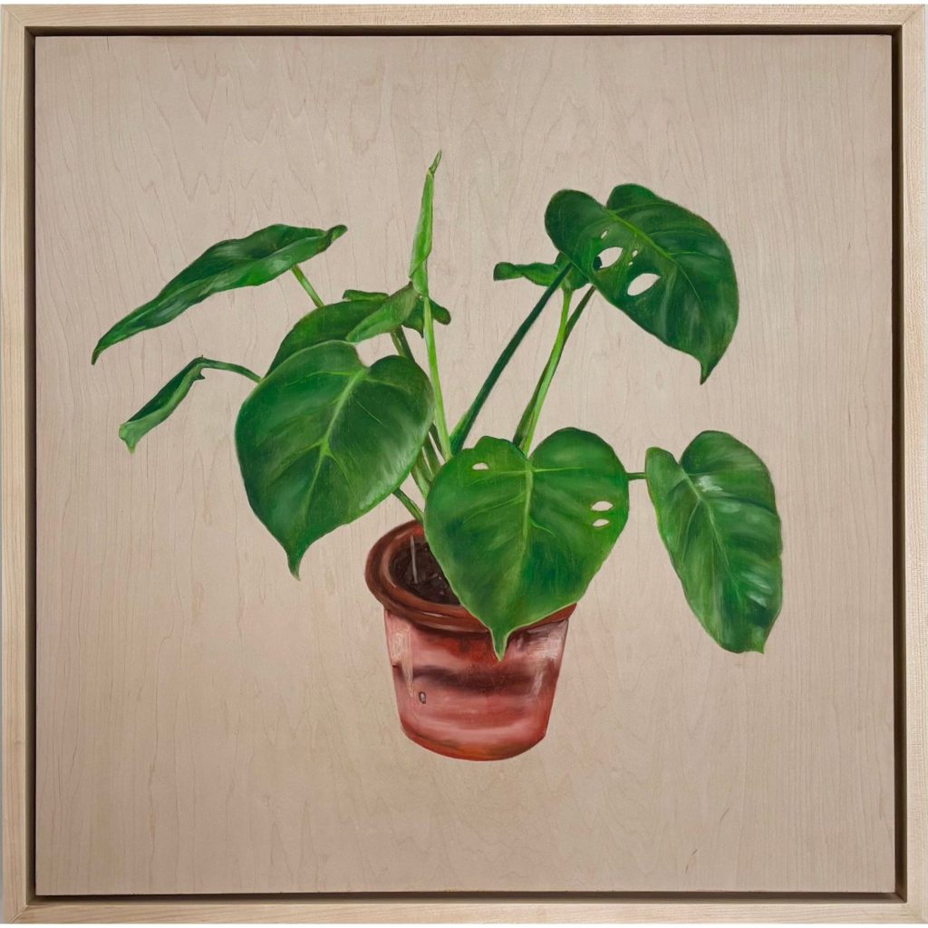 501 (Monstera)