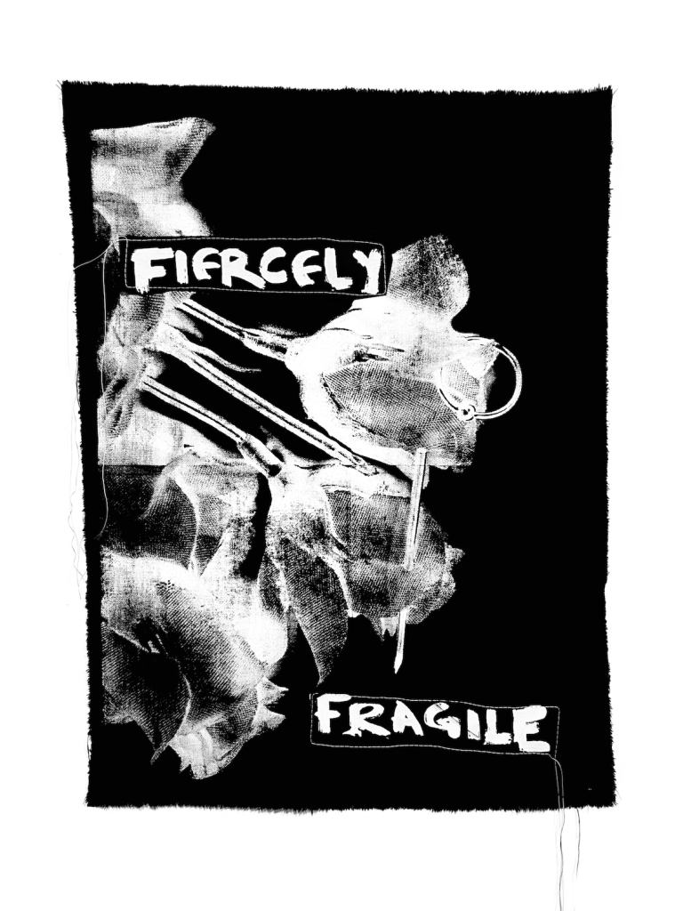 FIERCELY FRAGILE