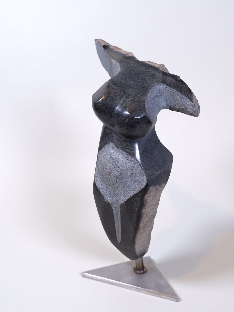 Torso