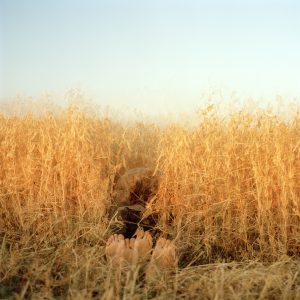 Photography &amp; Digital Media