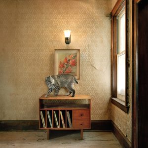 Photography &amp; Digital Media