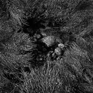 Photography & Digital Media