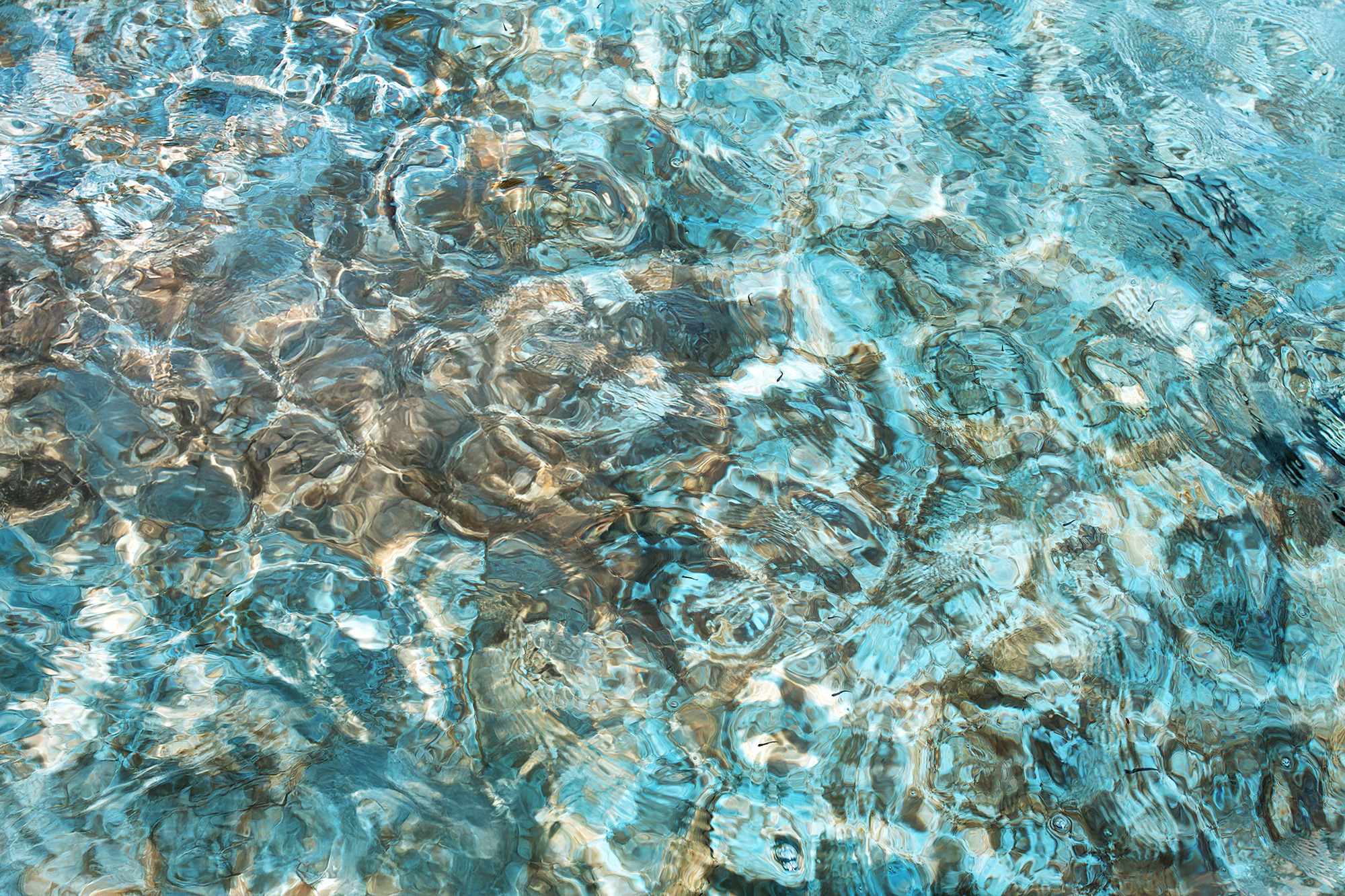 Coral Rippling