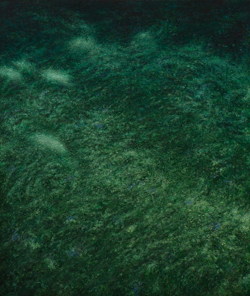 Land and sea VII