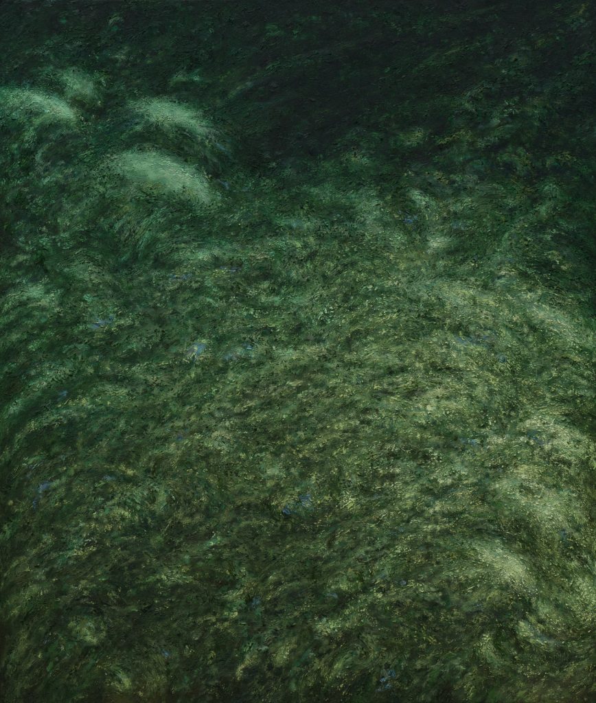 Land and sea VIII