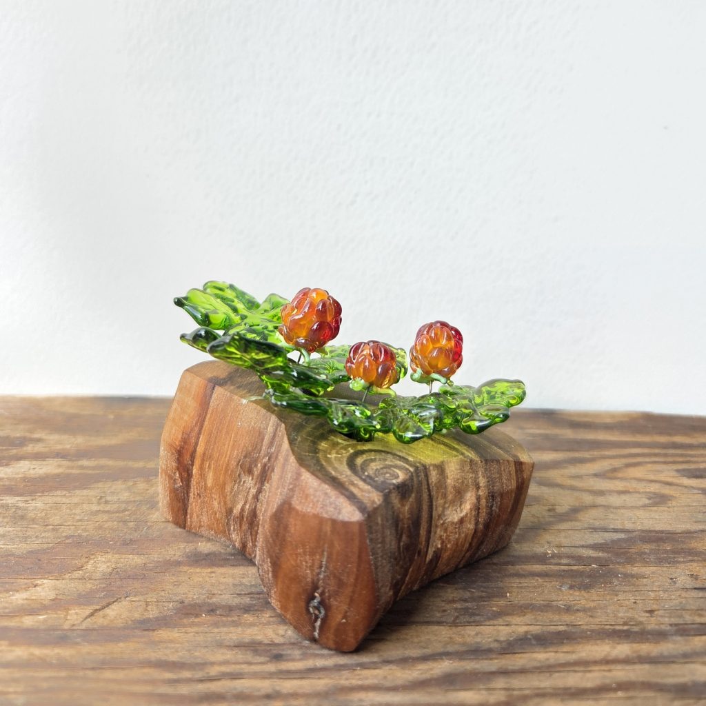 Cloudberry