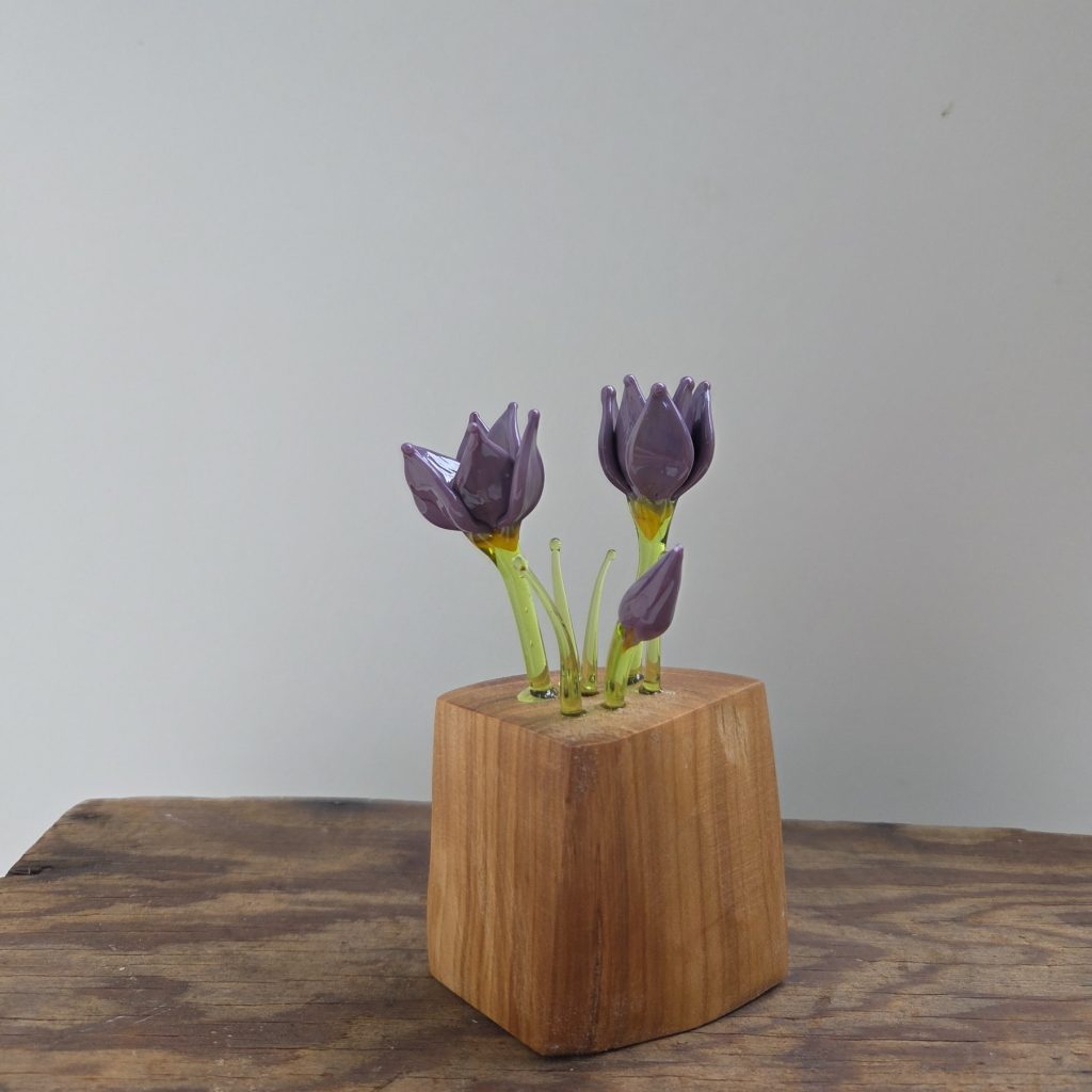 Prairie Crocus