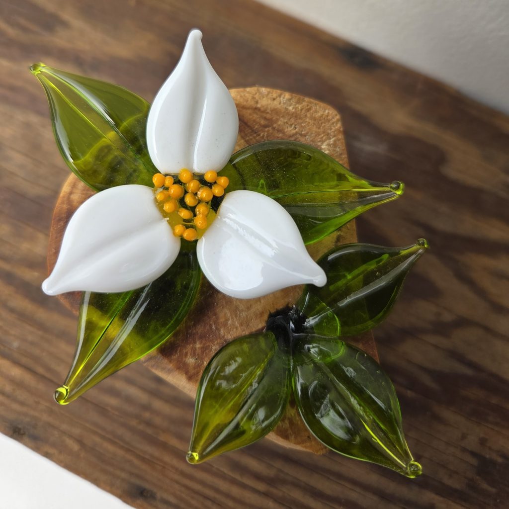 Trillium