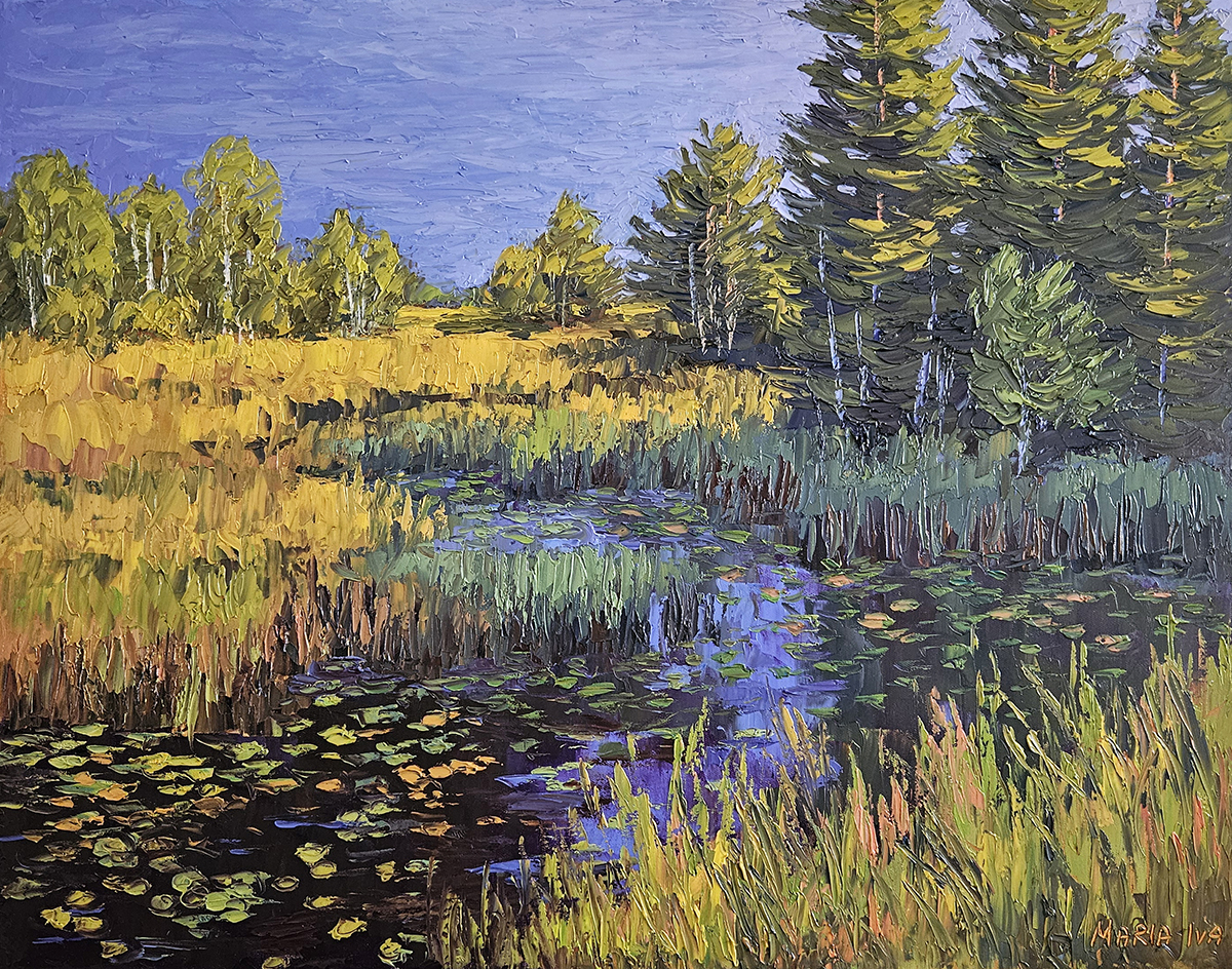 Sunlit Wetlands
