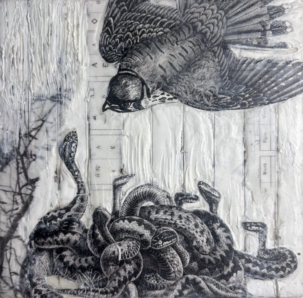 Bird and Snakes
