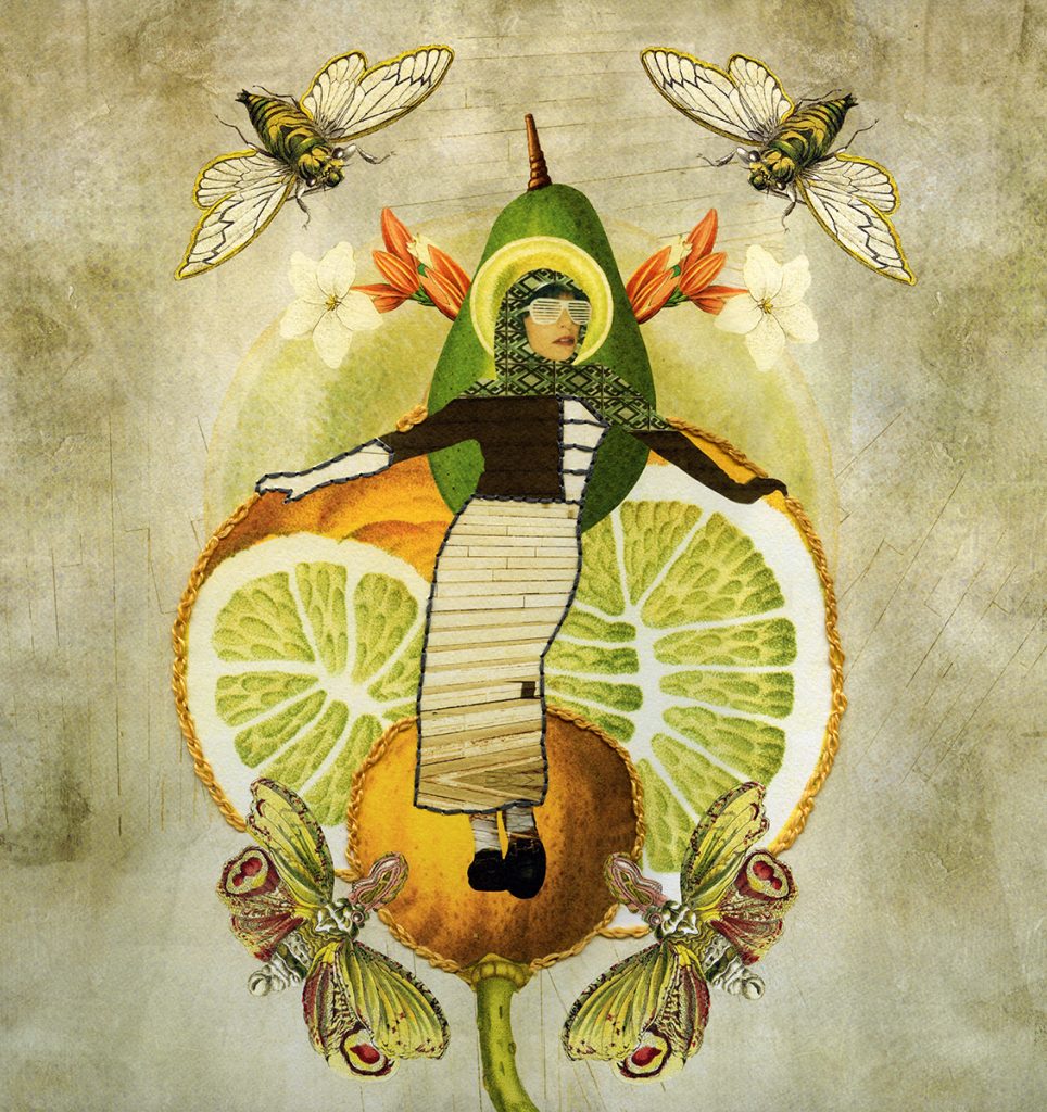 Madame Drosophyla