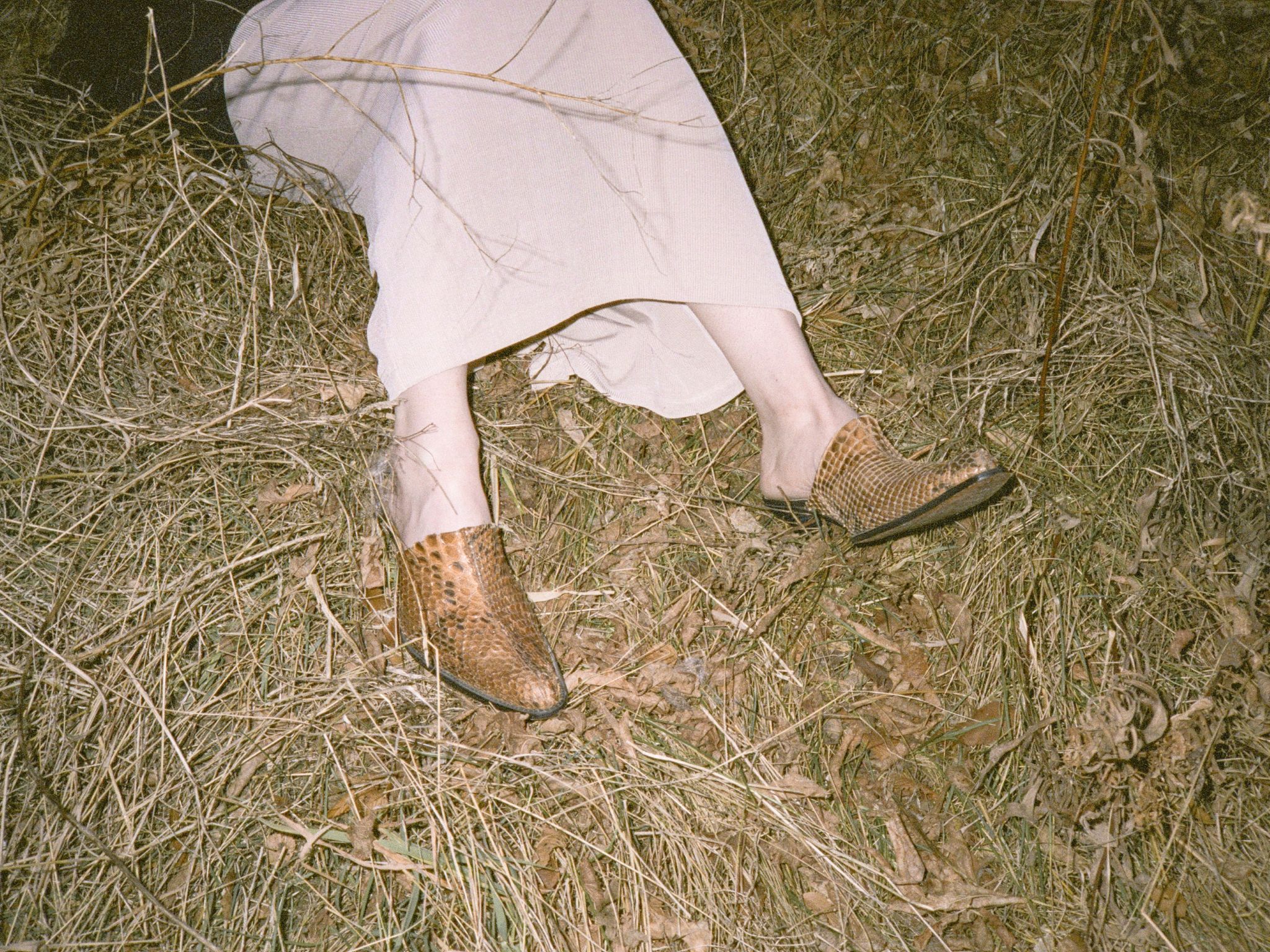 Woman's patterned shoes in meadow
