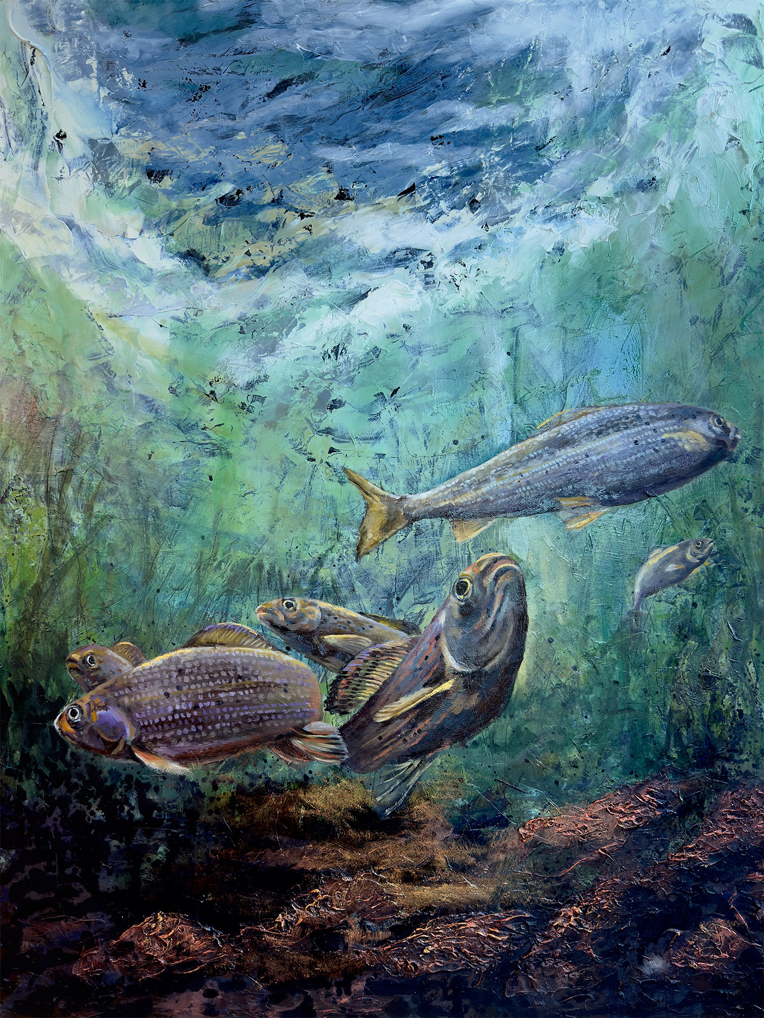 A textured underwater scene of Arctic grayling 