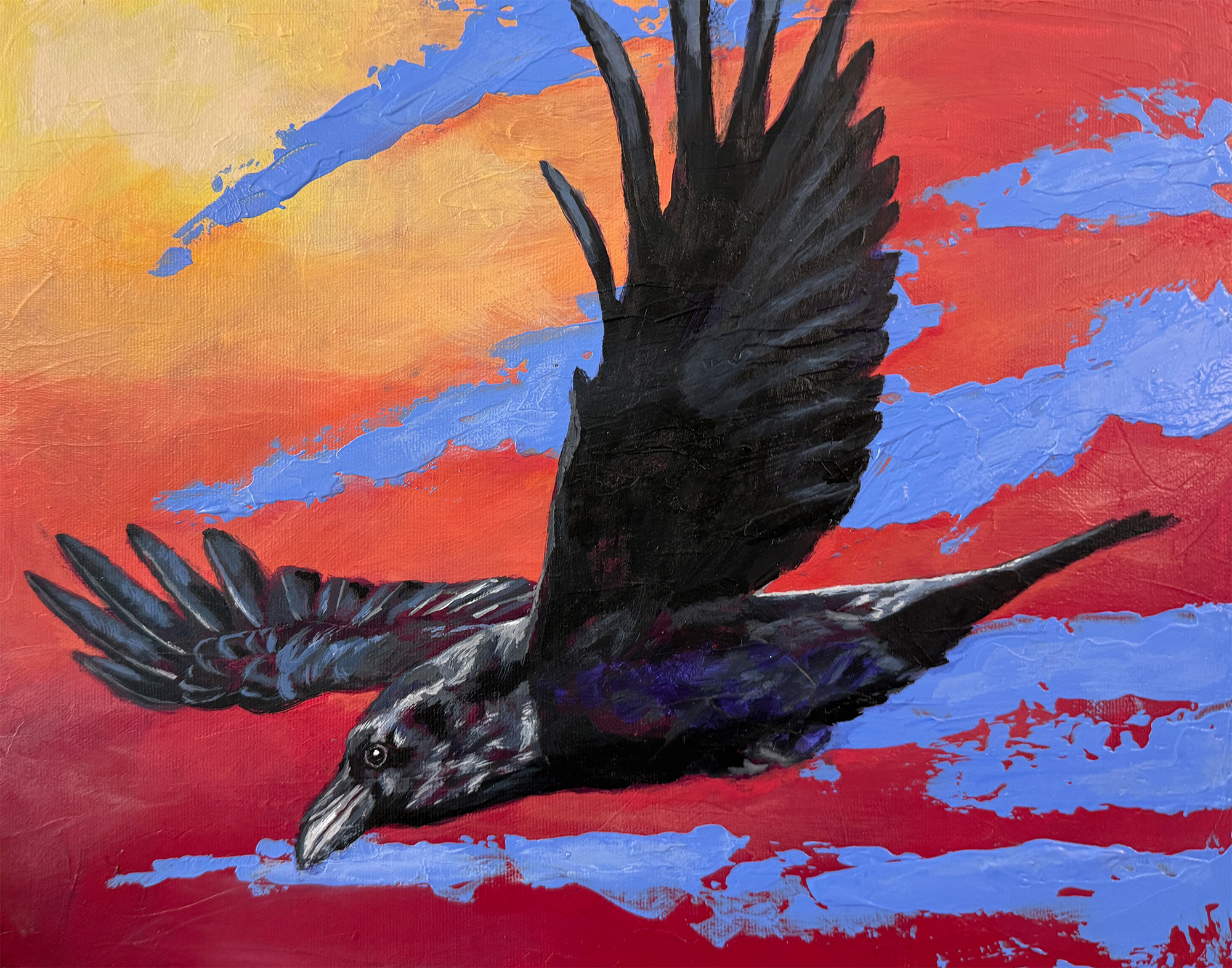Raven in flight against a vibrant sky
