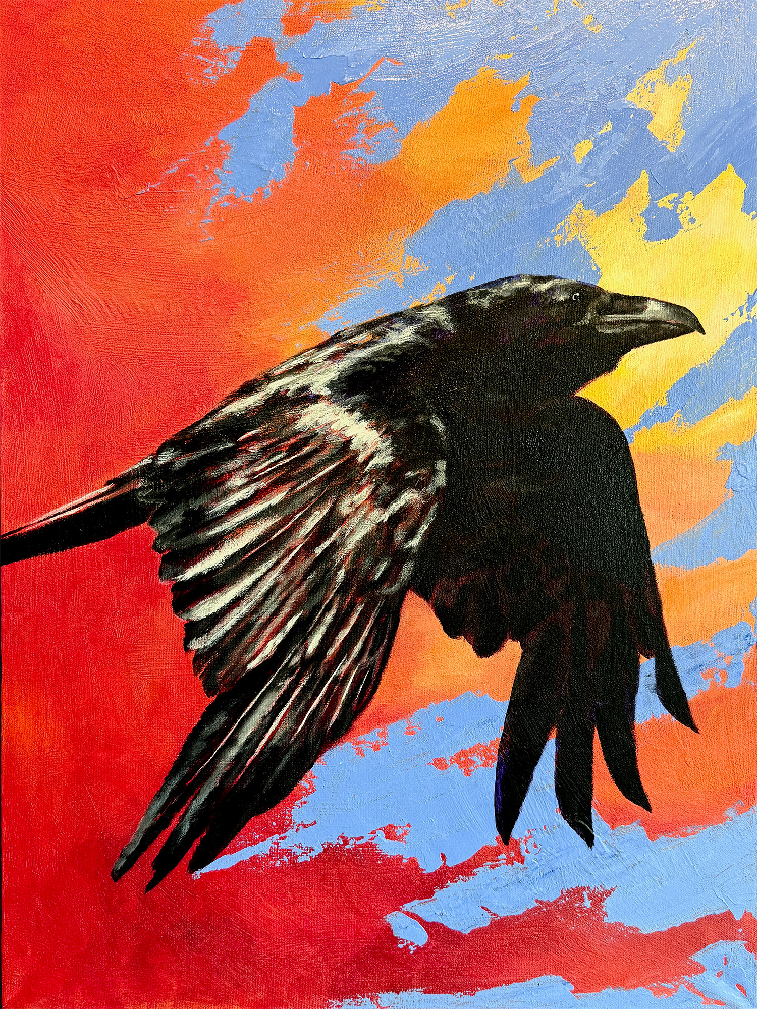 Raven in flight against a vibrant sky