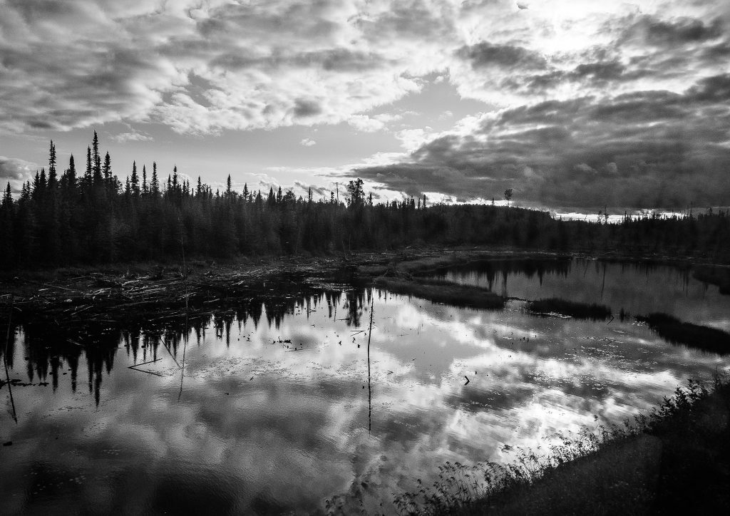 Glass Lake (2 of 7)