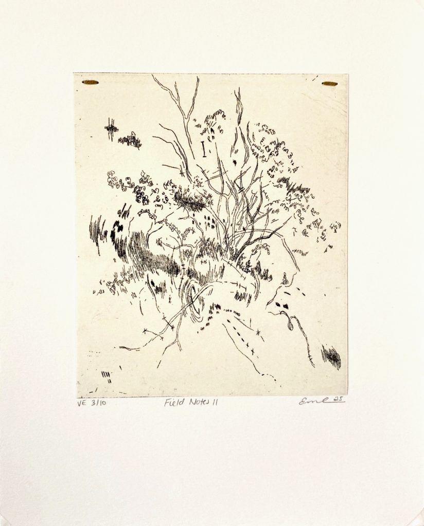 Field Notes II
