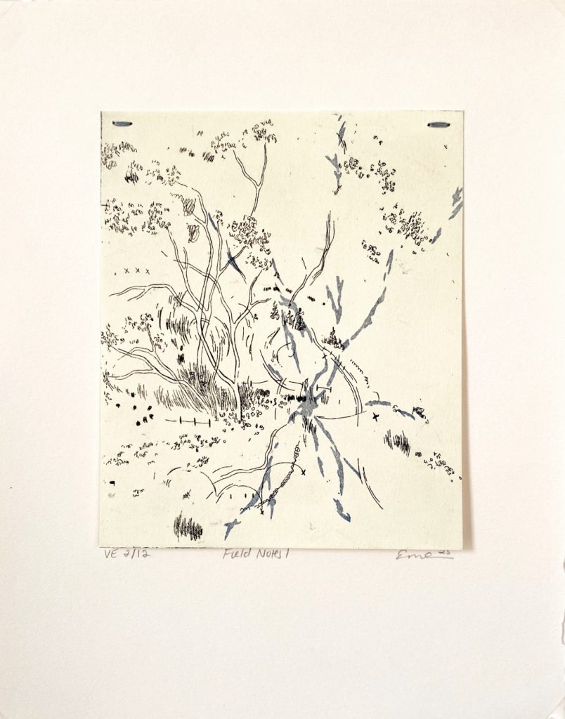 Field Notes I