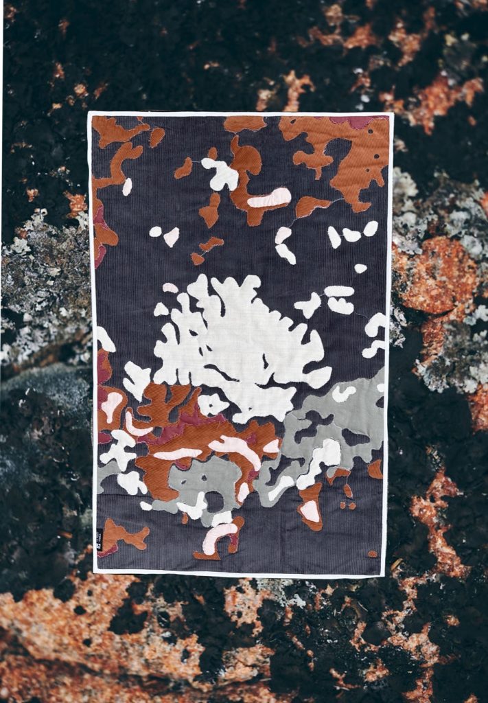 Lichen