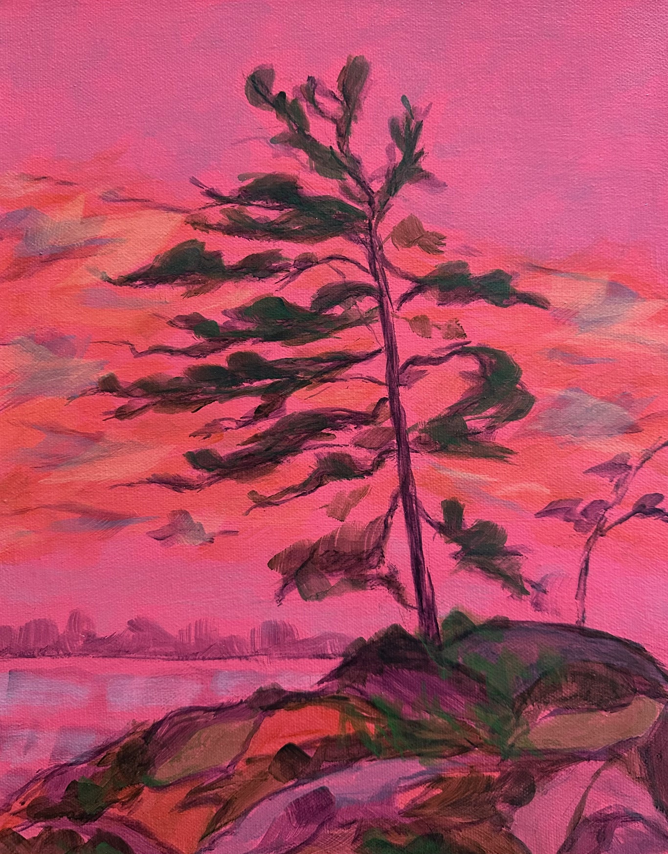 Trees in the forest with a electric pink background