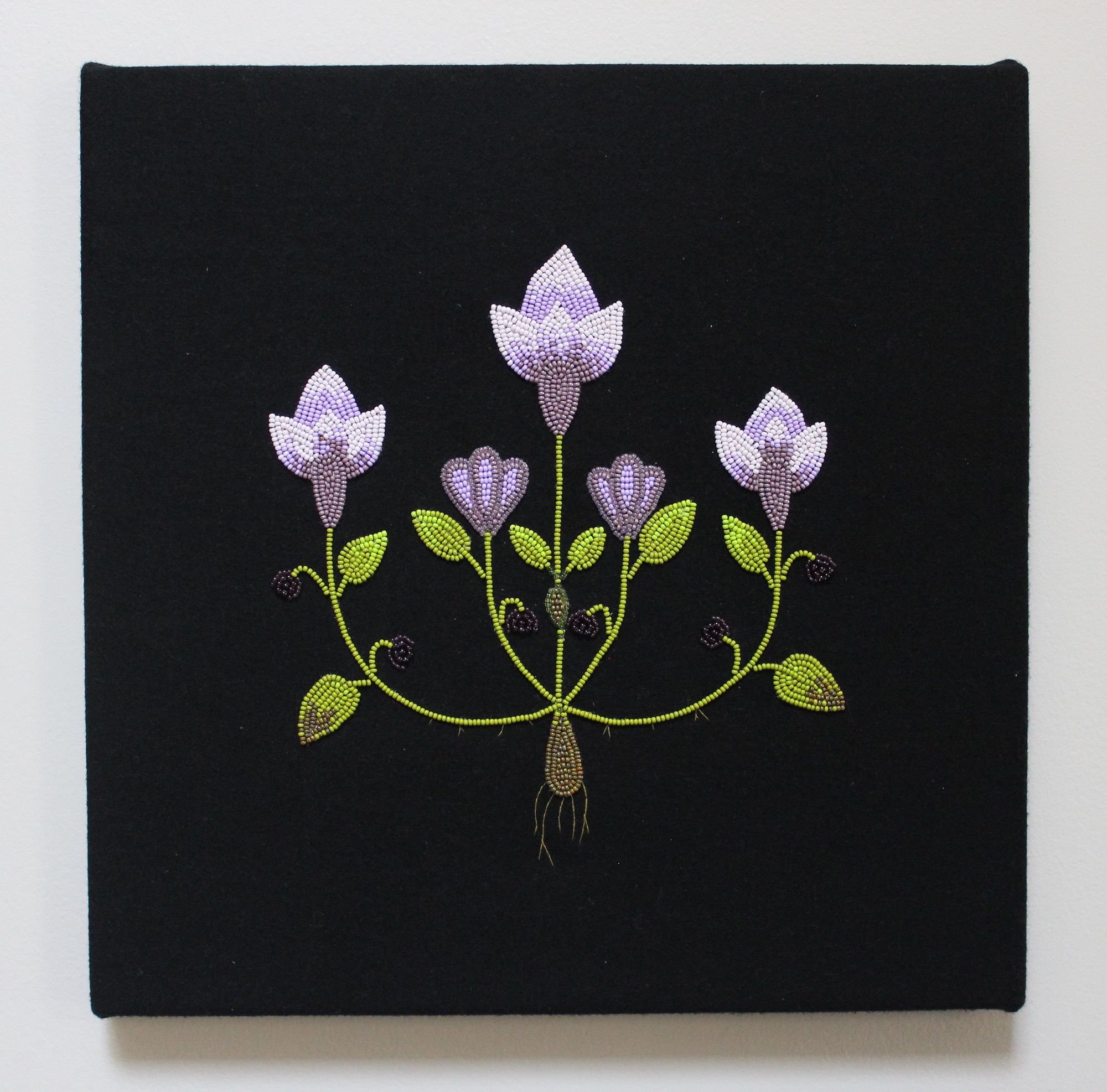‘Bloom’ – Moonlight/ klayr di leun