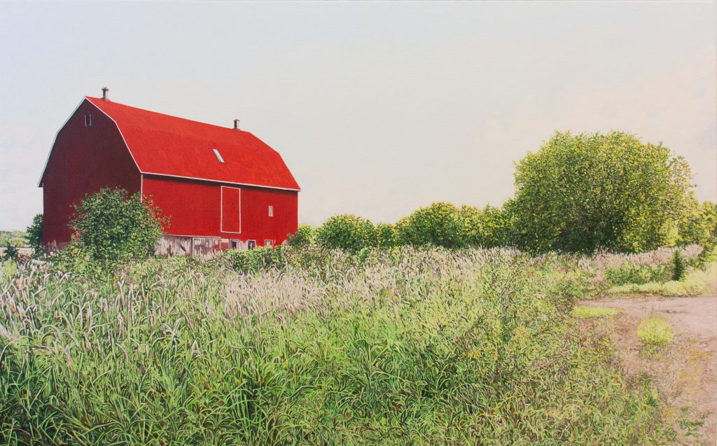 Grange rouge avec champ de verdure sauvage (Prince Edward County, ON)
