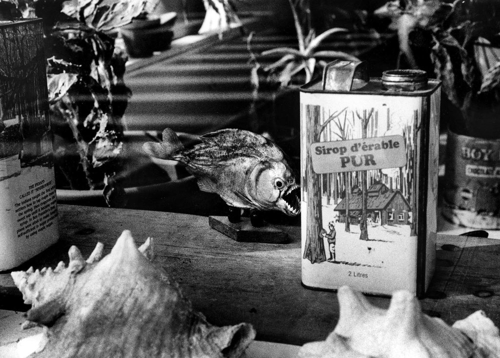 Would You Still Love Me If I Were A Taxidermized Fish?