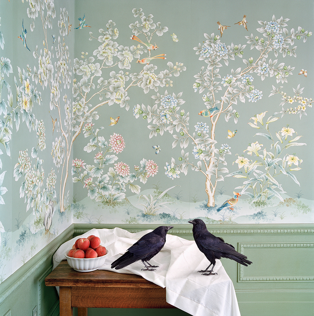 The Crows at Your Table