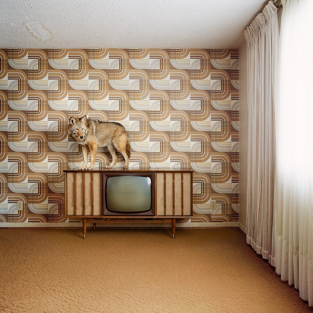 This Shadow is My Own